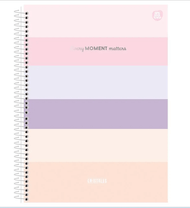 Caderno Colegial Cristales 80Fls. 56g/gm² 10764 - Animativa