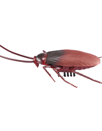 Barata Rastejante Zuru Robo Alive 1114 - Candide
