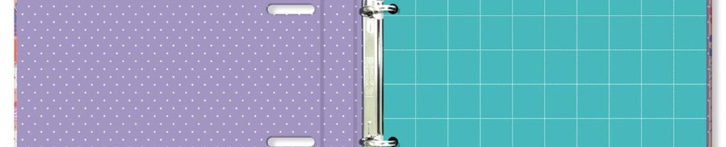 Porta-Fichas Sempre Viva 48 Fichas 6 Divisórias 180 g/m² 2472 - Fina Idéia