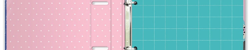 Porta-Fichas Jardim das Cores 48 Fichas 6 Divisórias 180 g/m² 2474 - Fina Idéia