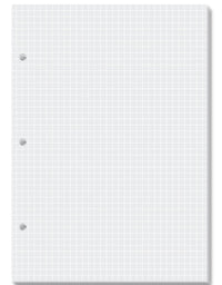 Refil Miolo Quadriculado Branco p/ Caderno Argolado 50 fls. 90 g/m² 4702 - Fina Ideia

