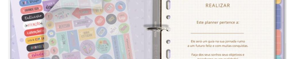 Planner Argolado Gatos na Janela 103 Folhas 90g/m² 12 Divisórias 4887 - Fina Idéia