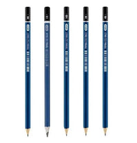 Lápis Técnico Preto Sextavado Blister C/5 Unid LP0050 - BRW