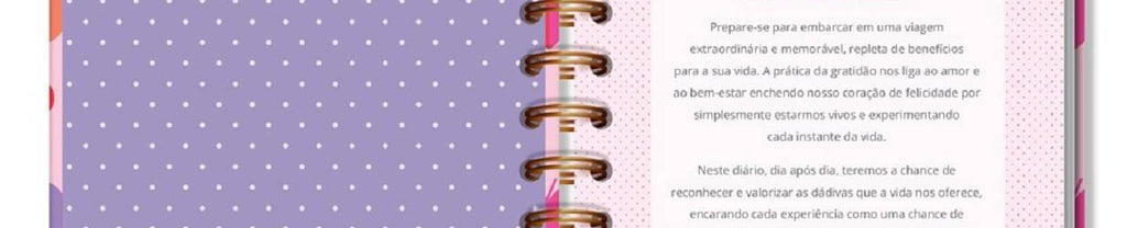 Caderno Diário de Gratidão Fun Rosa 5455 - Fina Ideia