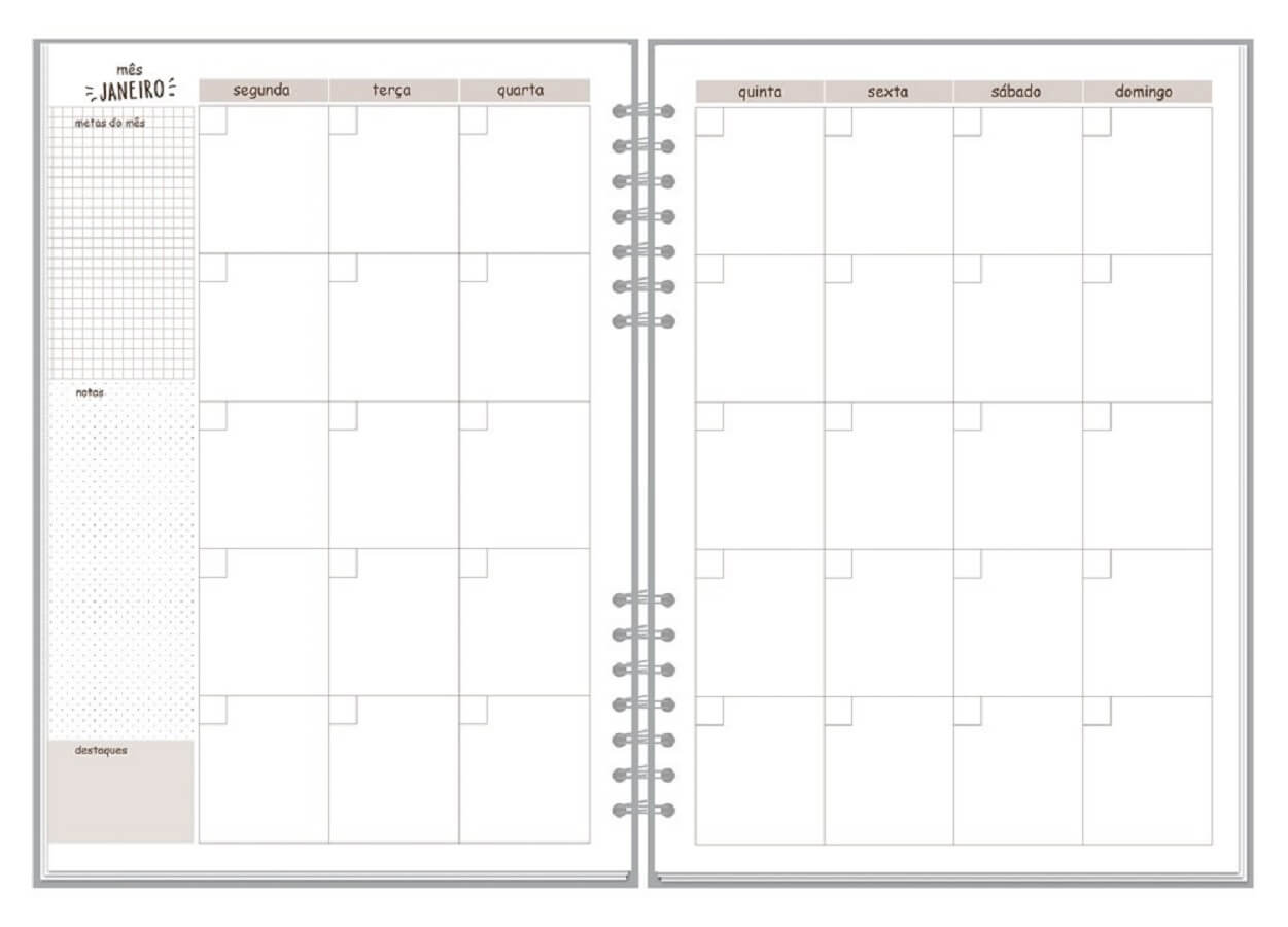 Planner Compacto Mensal Fun Rosa 32 Folhas 145x205mm 6746 - Fina Ideia