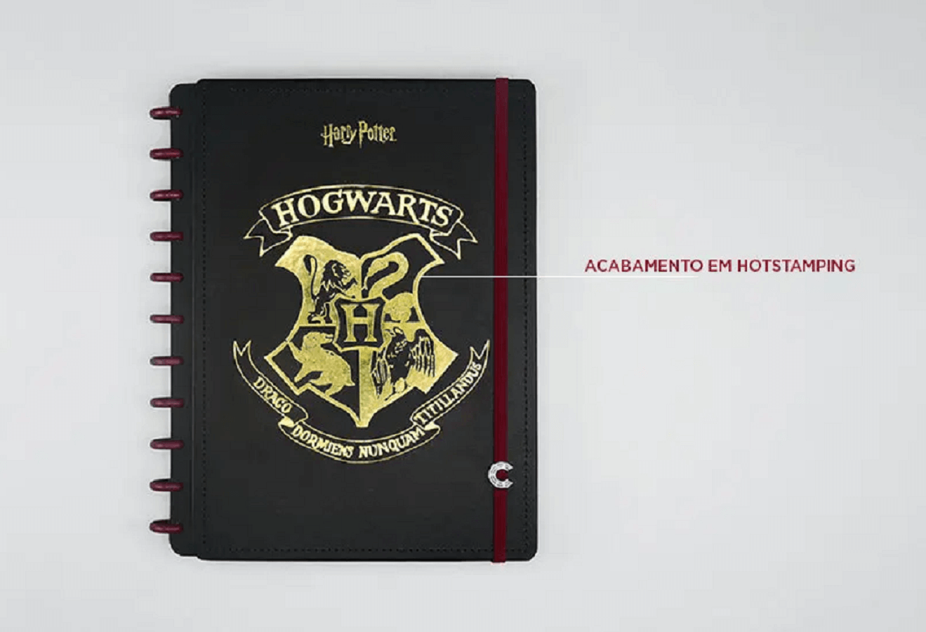 Caderno Inteligente Grande 80 Fls. Harry Potter 75738-24 - Novitate