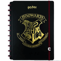 Caderno Inteligente Grande 80 Fls. Harry Potter 75738-24 - Novitate