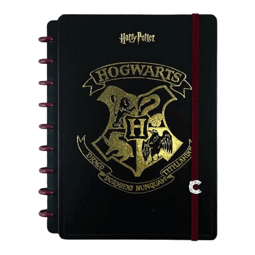 Caderno Inteligente Médio 80 Fls. Harry Potter 75739-24 - Novitate