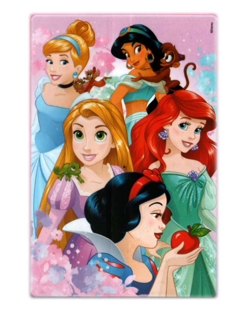 Quebra Cabeça 60 peças Disney Princess 8006 - Toyster