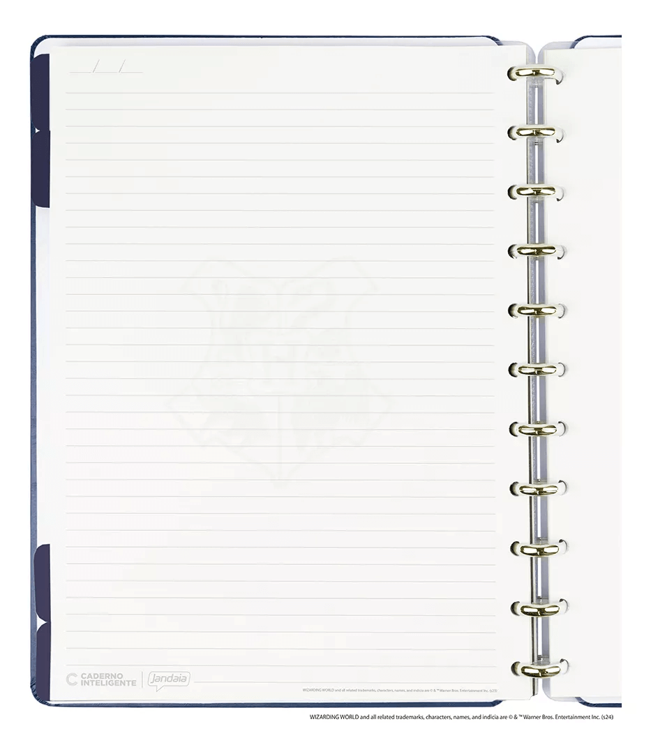 Caderno CI BY Harry Potter Azul Gde 80F CIGD4343 - Novitate