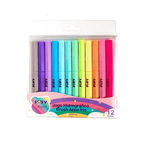 Caneta Hidrográfica Brush  Arco Iris 12 Cores FF5001 - Fofy