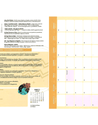 Agenda Planner 2027 Espiral 175x242 160 Páginas  Mistic 71151 - Jandaia
