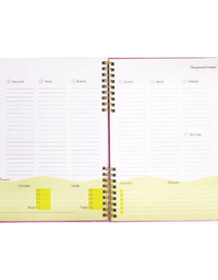 Planner Financeiro Soul 97 folhas 63g/m² 177x240mm - BRW
