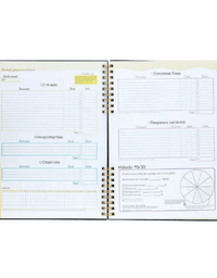 Planner Financeiro Soul 97 folhas 63g/m² 177x240mm - BRW
