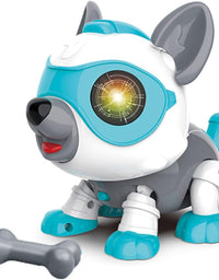 Cachorro Magic robo dog - DOG-835 - Fenix Brinquedos
