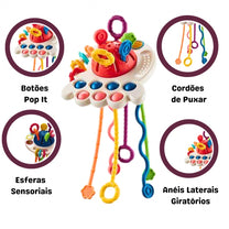 Chocalho Educativo Multissensorial 4 em 1 ZP01136 - Zoop Toys