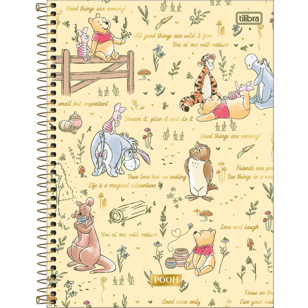 Caderno Univ. 160 Folhas Pooh Conect 30829 - Tilibra