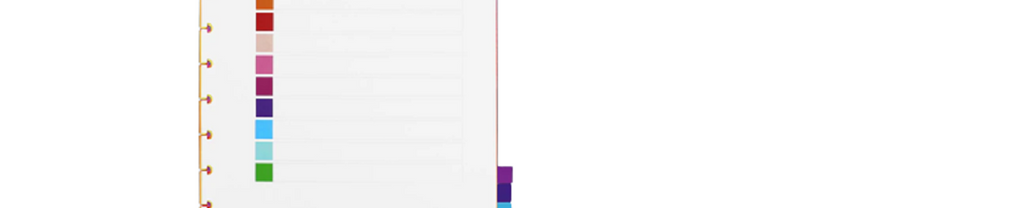 Divisória Para Caderno Inteligente Grande Colorido C/10 CIDG4004 - Novitate