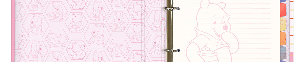 Fichário Univ. Com Elástico Pooh Com 48 Folhas 4499 - DAC
