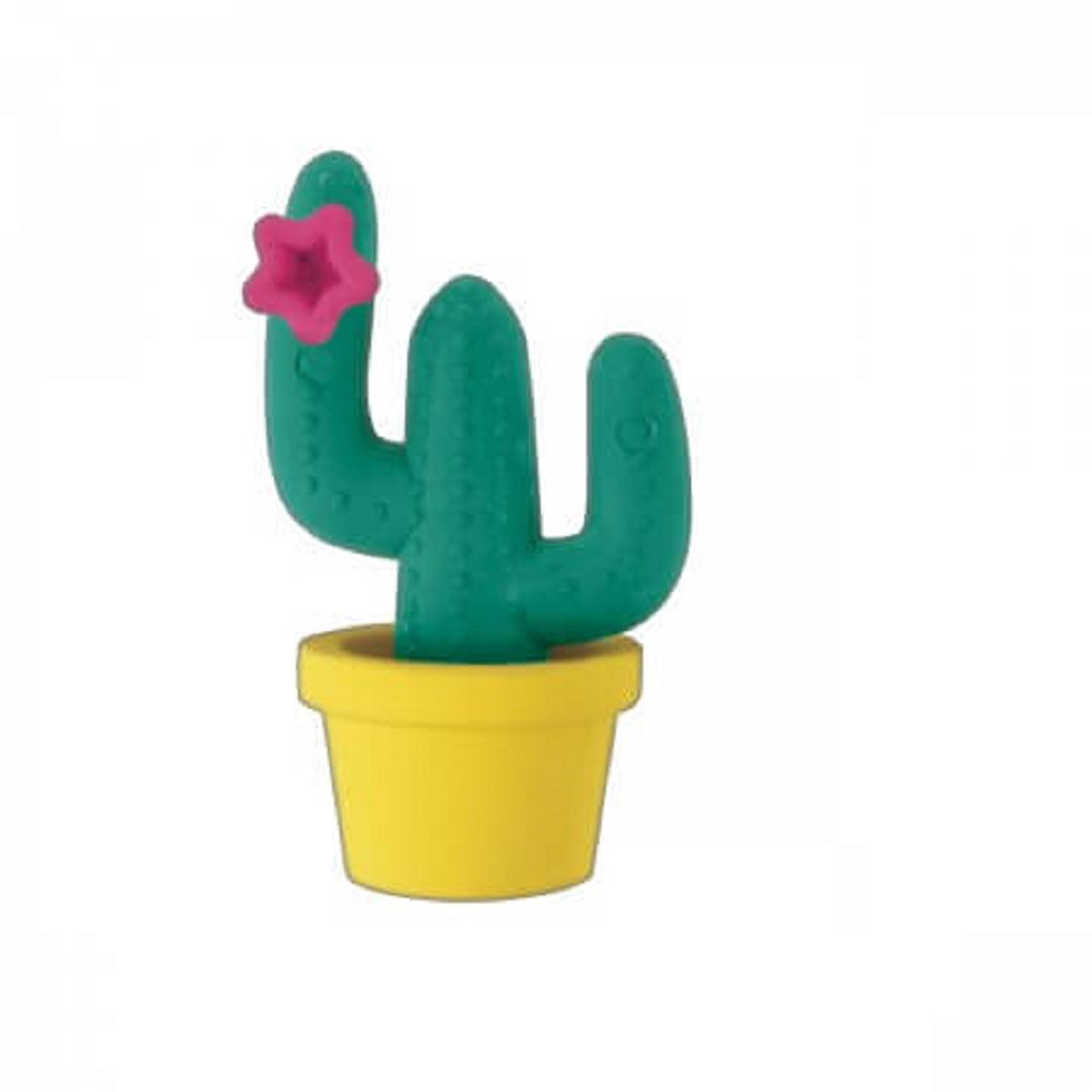 Borracha Decorada Blister Cactus 31484-6 - TILIBRA