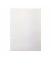 Refil Pautado Linhas Brancas p/ Caderno Inteligente 50 Folhas 90 g/m² Grande CIRG4017 - NOVITATE