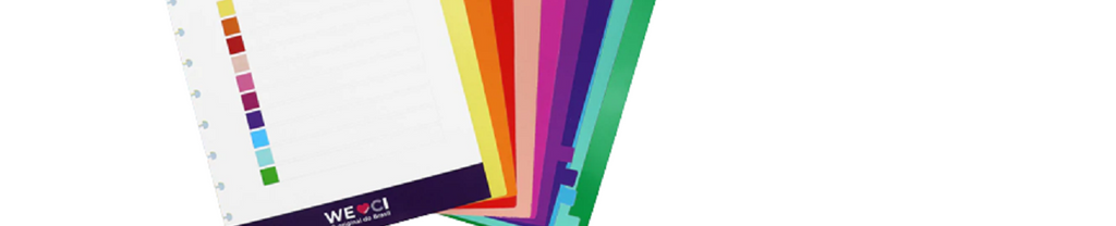 Divisória Para Caderno Inteligente Grande Colorido C/10 CIDG4004 - Novitate