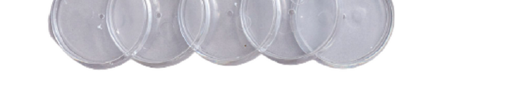 Disco+Elástico G. para Caderno Inteligente 12 unid. 31 mm Transparente  CI312020 - Novitate