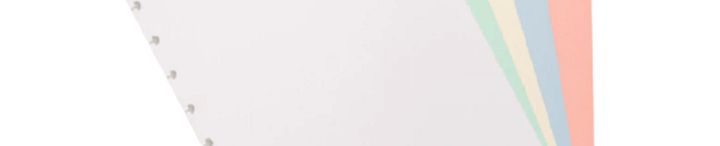 REFIL COLORIDO TAMANHO GRANDE 50 FLS. 80G/M² CIRG4007 - NOVITATE